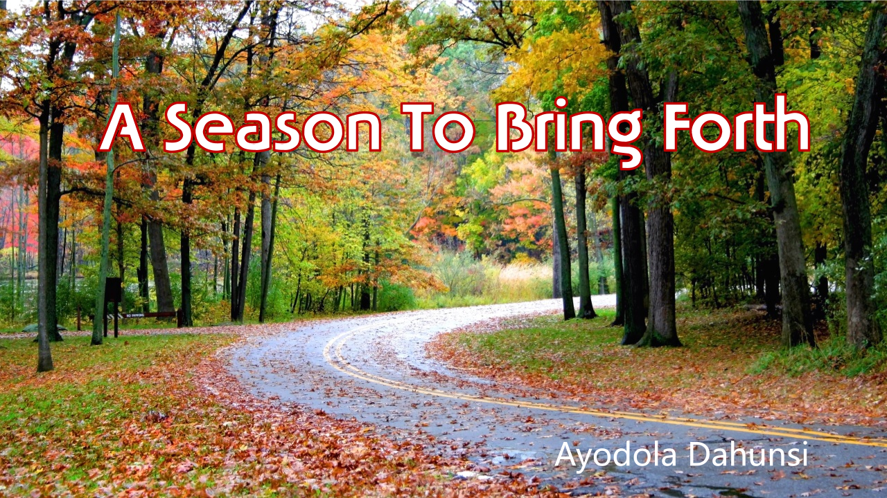 #7 - Activating The Plan Of God - 1