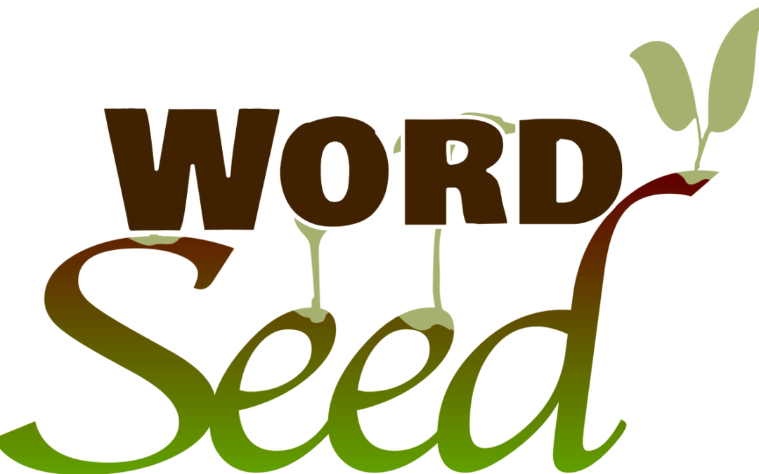 #3 -Word Seed