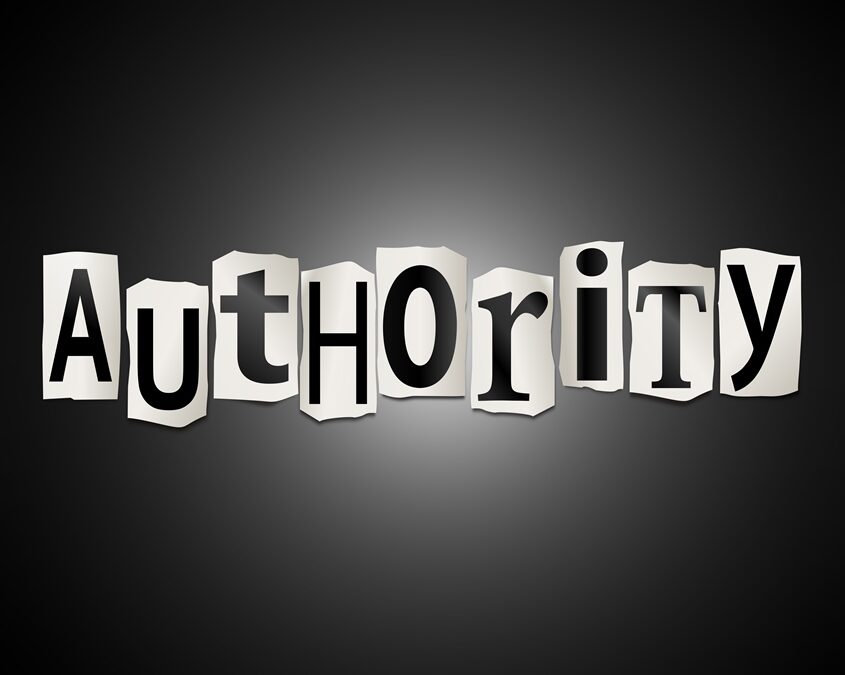 AUTHORITY VI