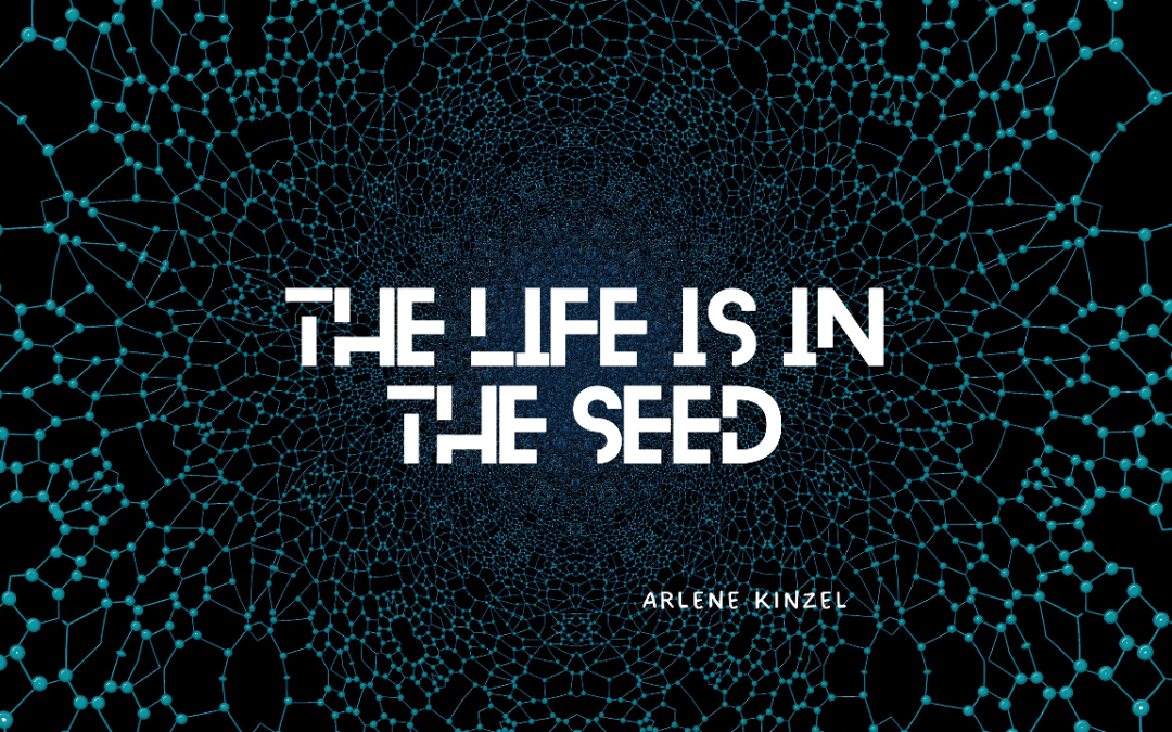 THE LIFE IS IN THE SEED | December 4th, 2022