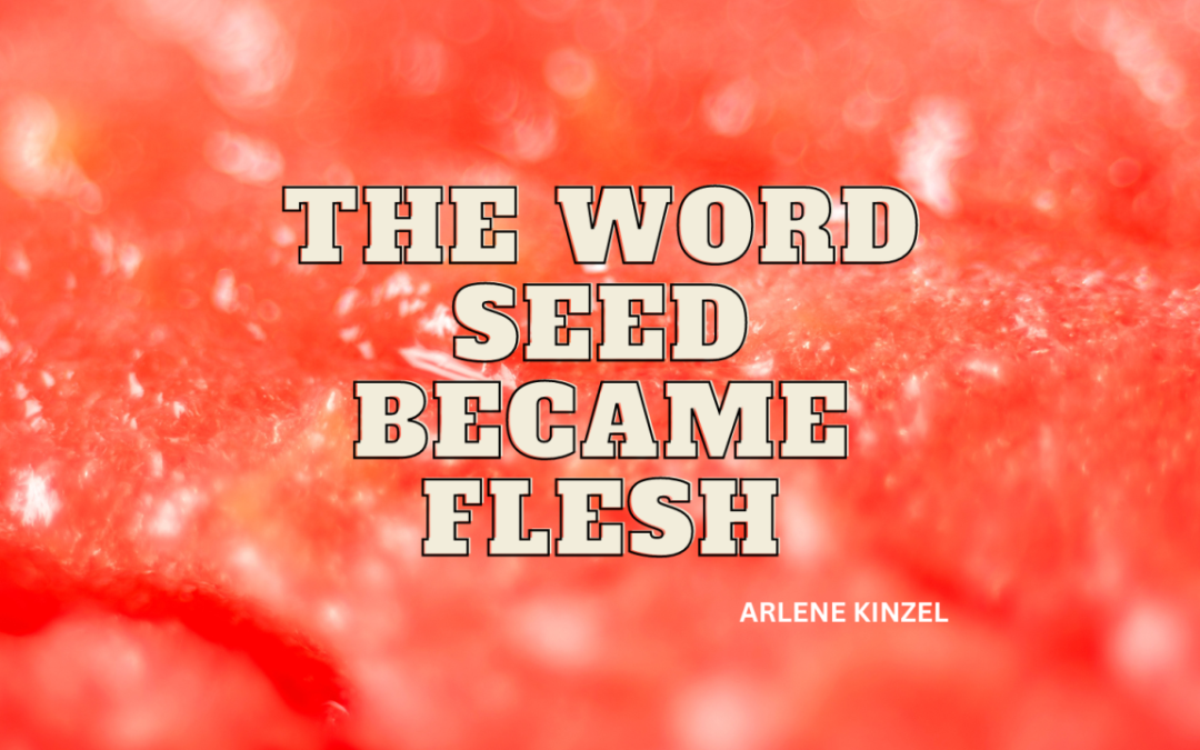THE WORD SEED BECAME FLESH | December 25th, 2022 | ARLENE KINZEL
